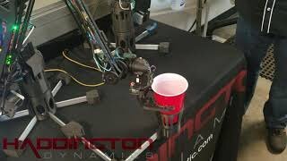 Bot-tender On Duty