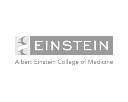 _EinsteinGS.png