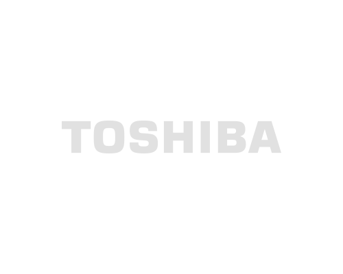 _ToshibaGS.png